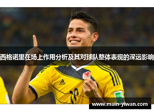 西格诺里在场上作用分析及其对球队整体表现的深远影响