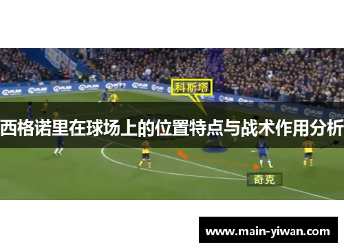 西格诺里在球场上的位置特点与战术作用分析