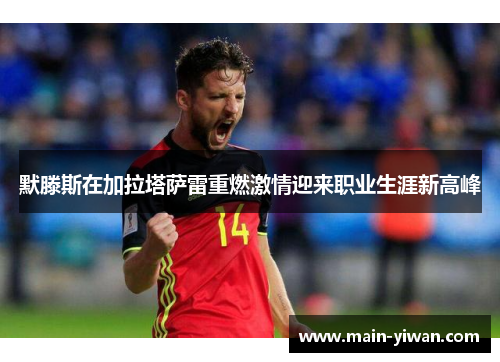 默滕斯在加拉塔萨雷重燃激情迎来职业生涯新高峰 默滕斯在加拉塔萨雷重燃激情迎来职业生涯新高峰